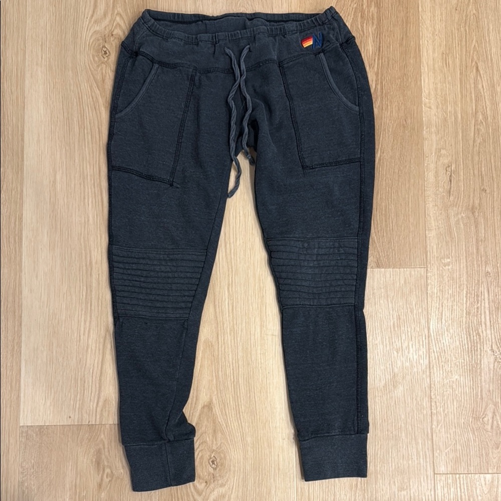 Aviator Nation Gray Sweatpants with Tapered Fit